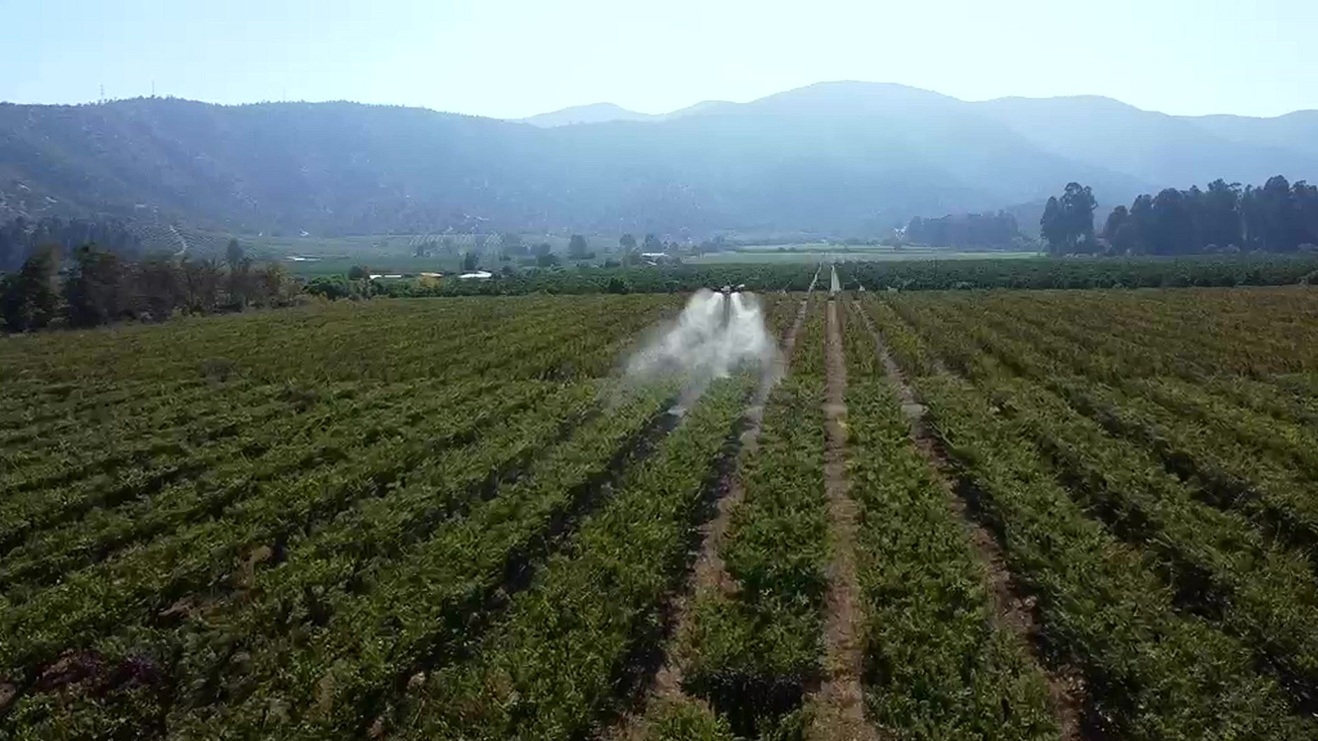 Drone agrícola aplicando fitosanitarios sobre cultivo en Chile